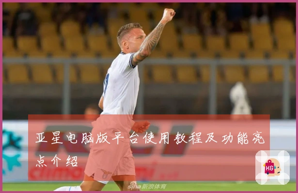 亚星电脑版平台使用教程及功能亮点介绍