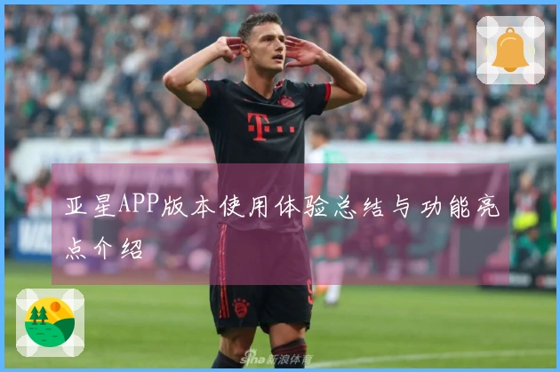 亚星APP版本使用体验总结与功能亮点介绍