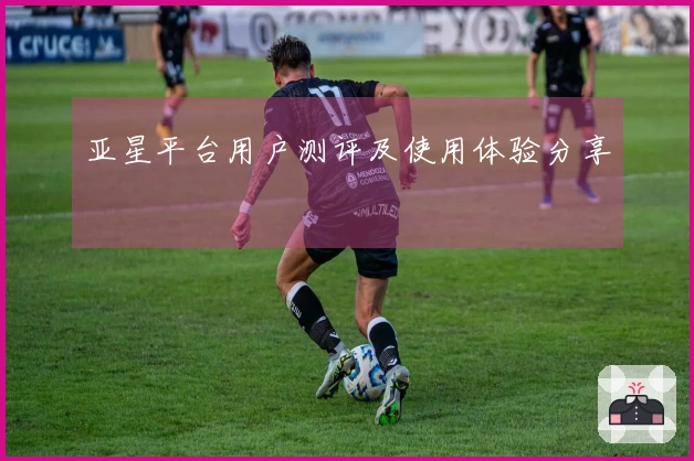 亚星平台用户测评及使用体验分享