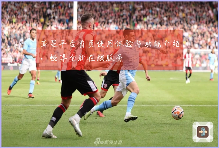 亚星平台首页使用体验与功能介绍，畅享全新在线服务