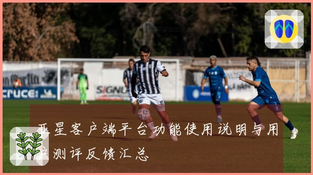 亚星客户端平台功能使用说明与用户测评反馈汇总